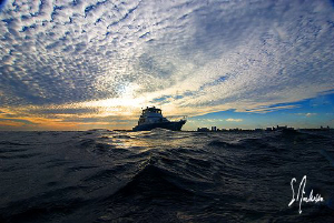 The Shear Water maneuvers to scoop us up as the sun sets ... by Steven Anderson 